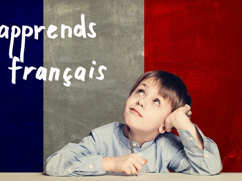 Don't Miss Out on the Power of Bilingualism: A Parent's Guide to French Programs in Ottawa Schools
